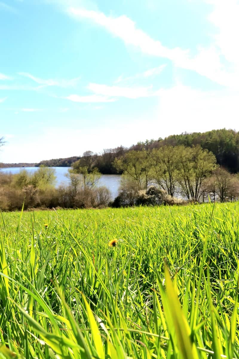 Ardingly Reservoir - Image 1