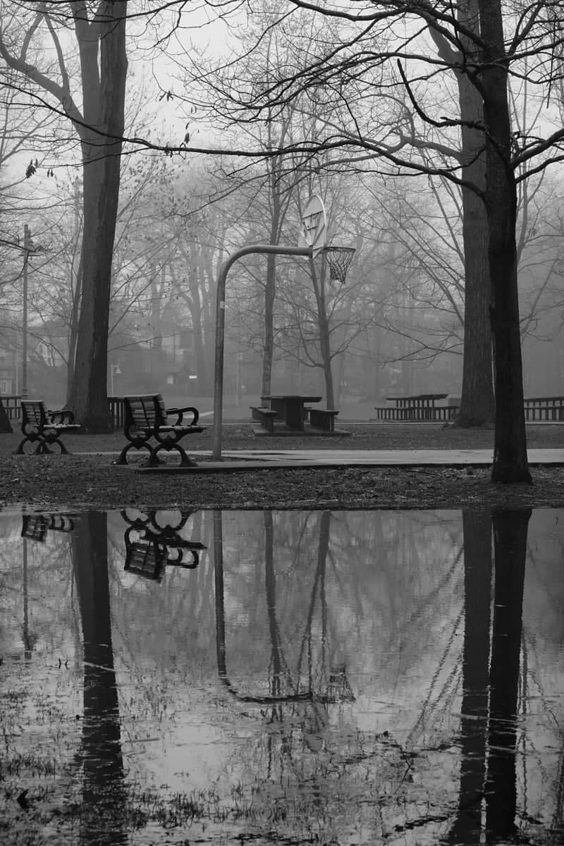 Kew Gardens Park - Image 1