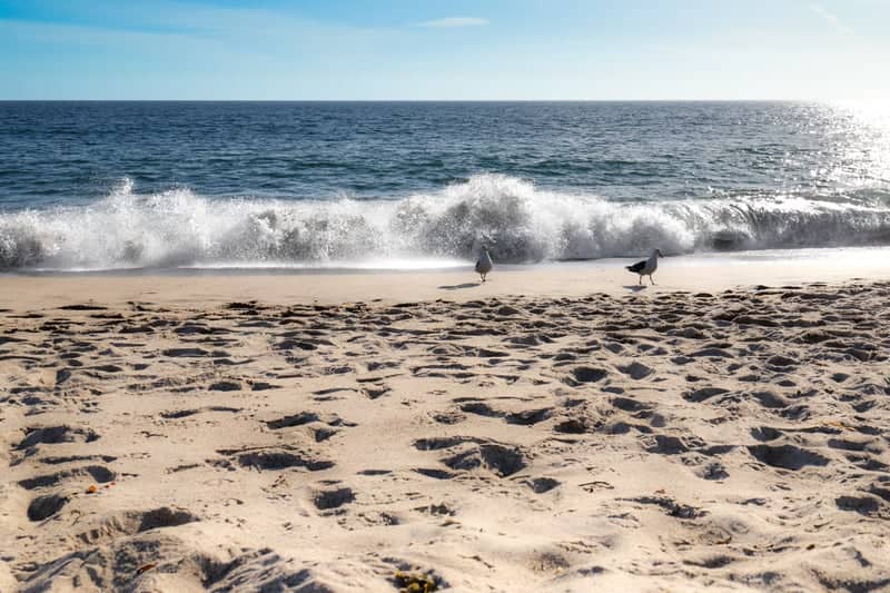 Malibu Lagoon State Beach - Image 1