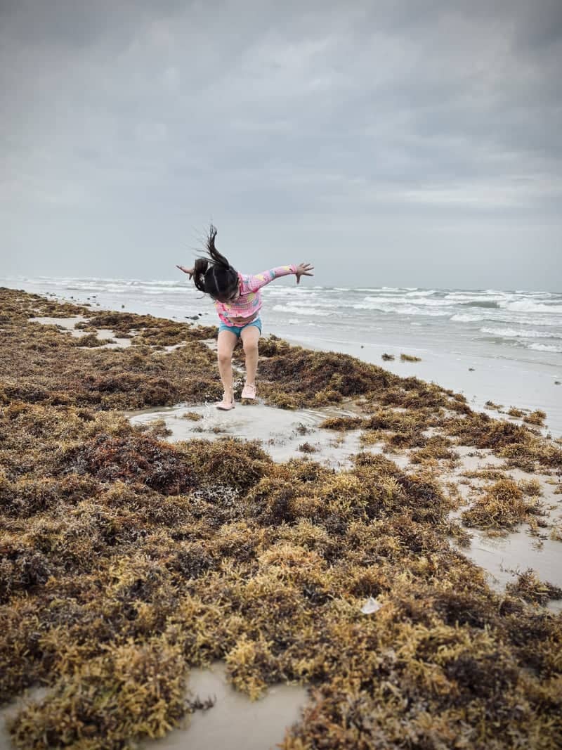 Padre Island National Seashore - Image 1
