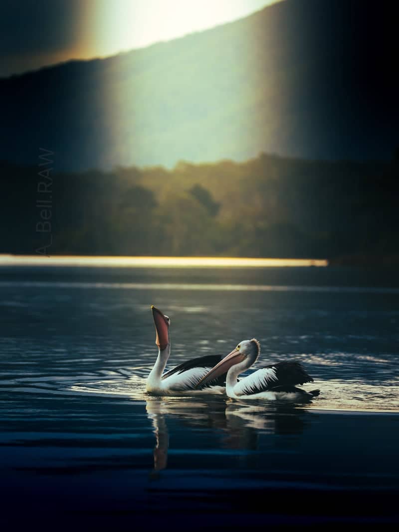 Wallaga Lake - Image 1