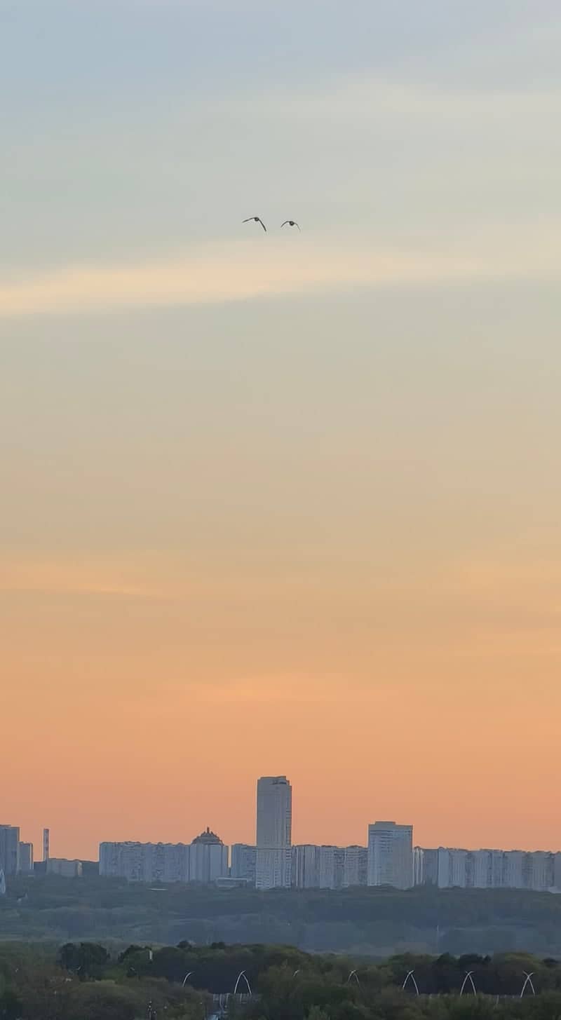 Krylatskoye Hills Park - Image 1