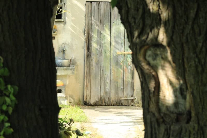 Rustic Doorway in Villorba - Image 1