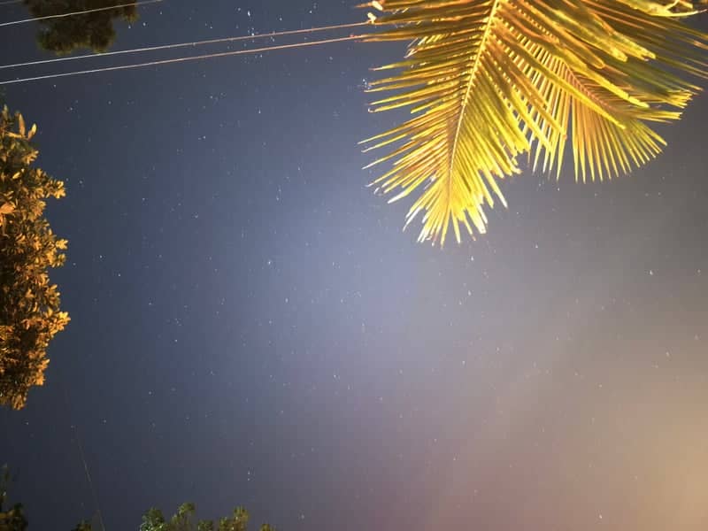 Kerala Tropical Night Sky - Image 1