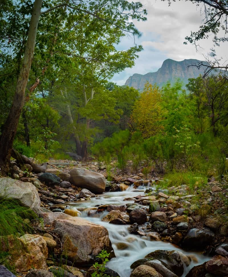 Miller Canyon, Huachuca Mountains - Image 1