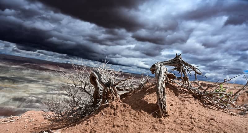 Painted Desert Overlook - Image 1