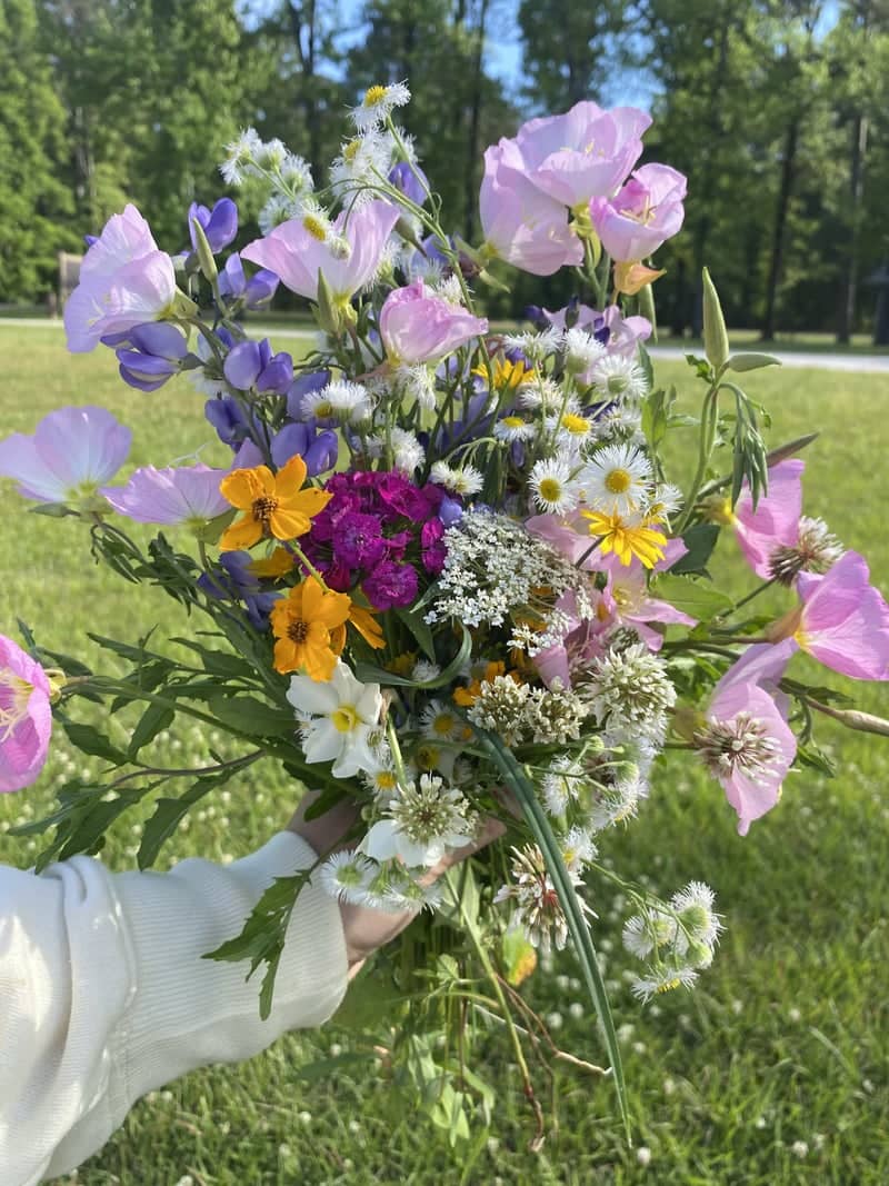 Brooksville Wildflower Fields - Image 1