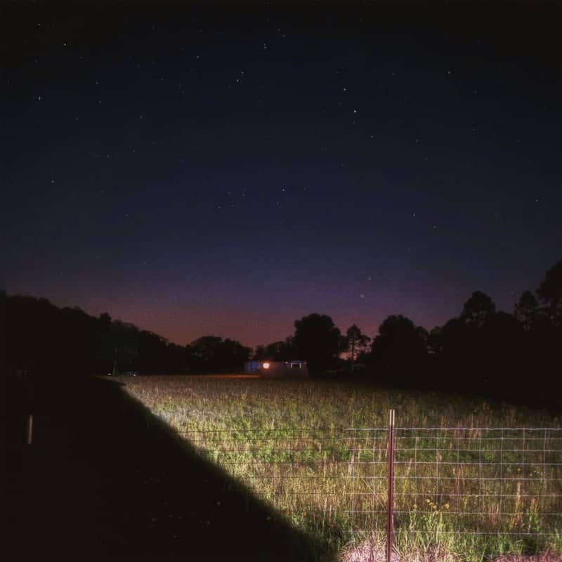 Lake City Rural Meadow - Image 1