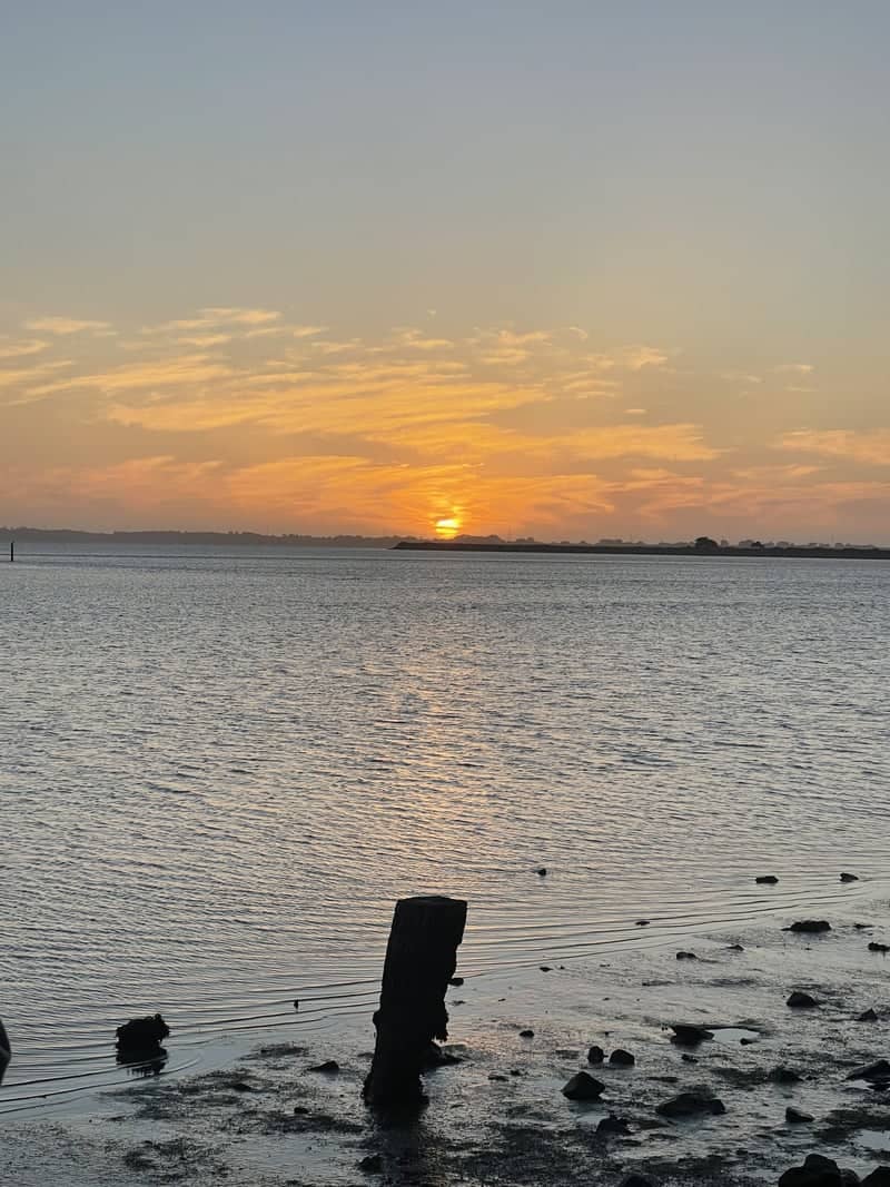 Arcata Marsh and Wildlife Sanctuary - Image 1