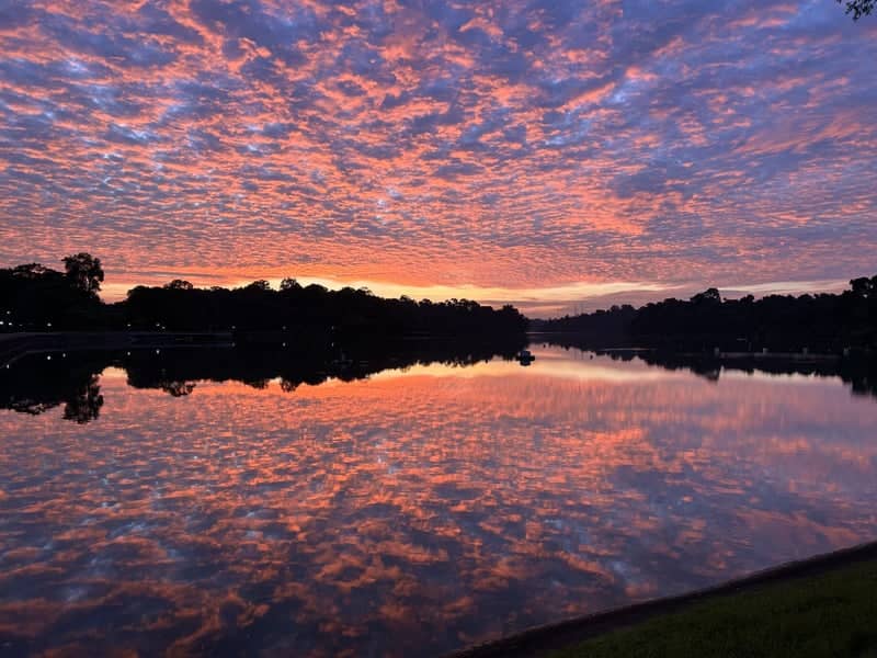 MacRitchie Reservoir - Image 1