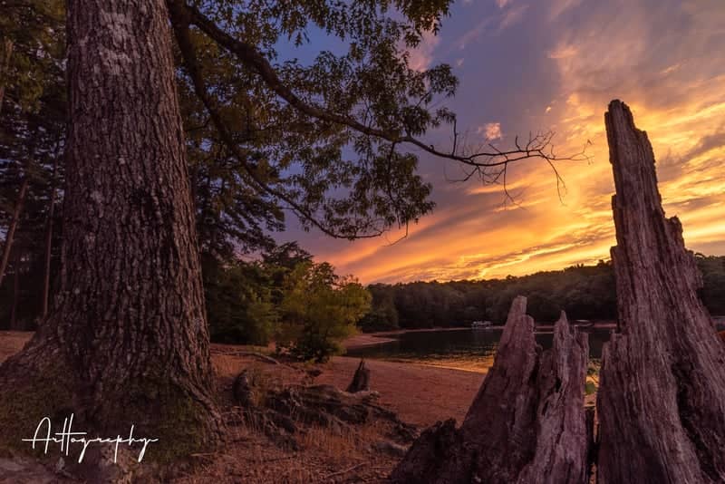 Tidwell Park, Lake Lanier - Image 1