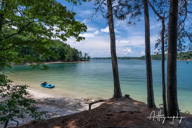 Lake Lanier Shoreline - Image 1