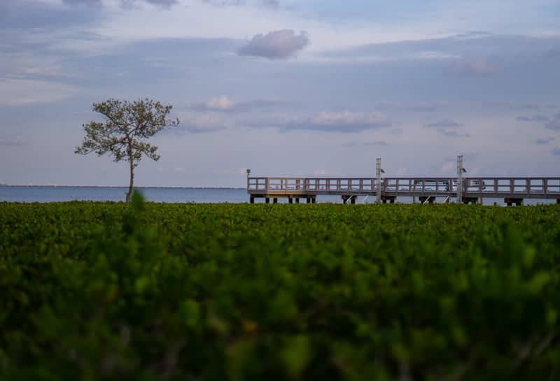Safety Harbor Waterfront - Image 1