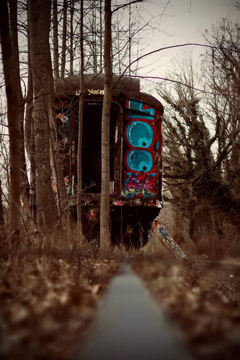 Abandoned Train Car at Holcombe Island - Image 1