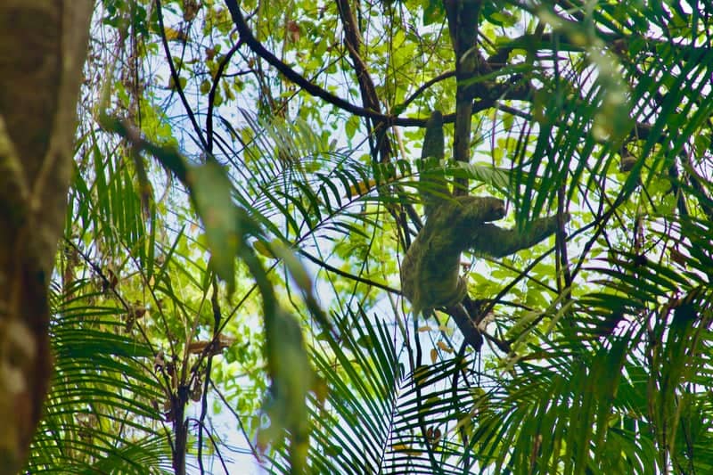 Manuel Antonio National Park - Image 1