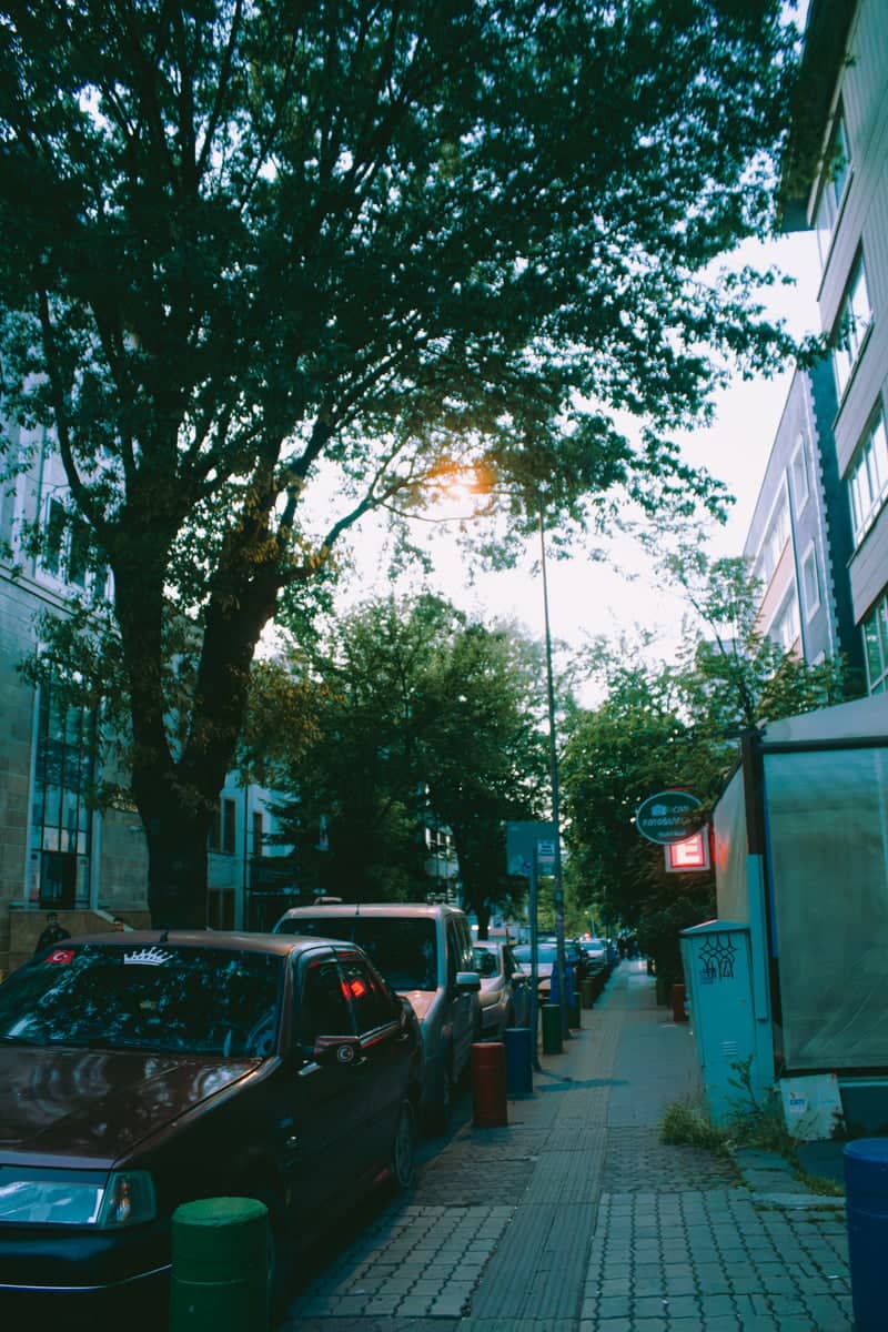 Karanfil Sokak, Kavaklıdere - Image 1
