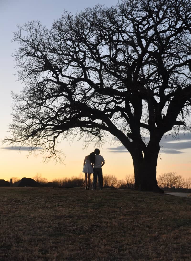 Old Grove Oak Hill - Image 1