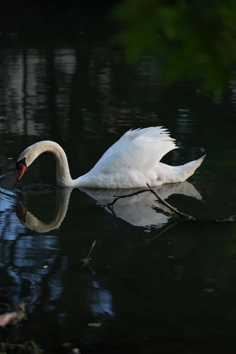 Hoover Reservoir Park - Image 1