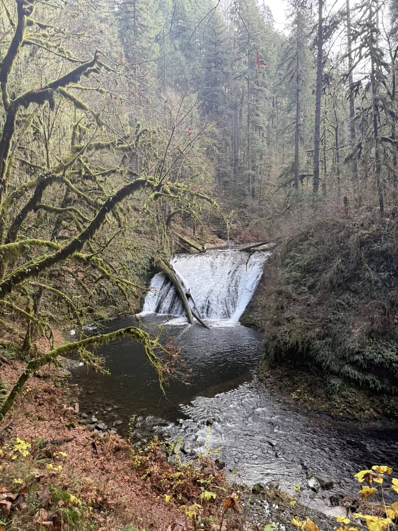 Silver Falls State Park - Image 1