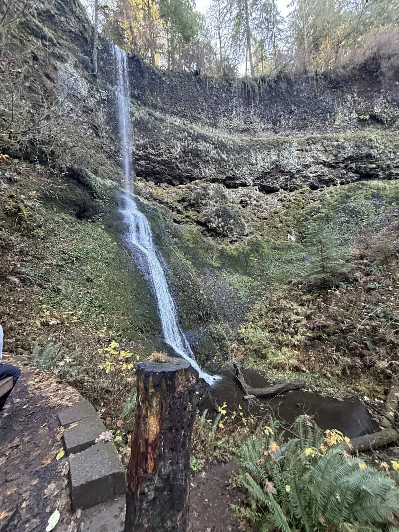 Winter Falls, Silver Falls State Park - Image 1