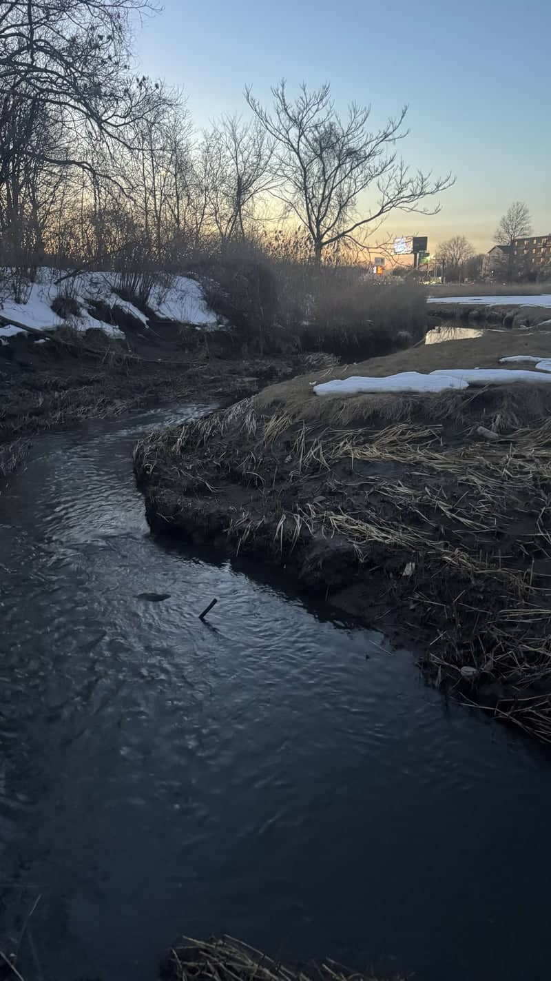 Mill Creek Urban Marsh - Image 1