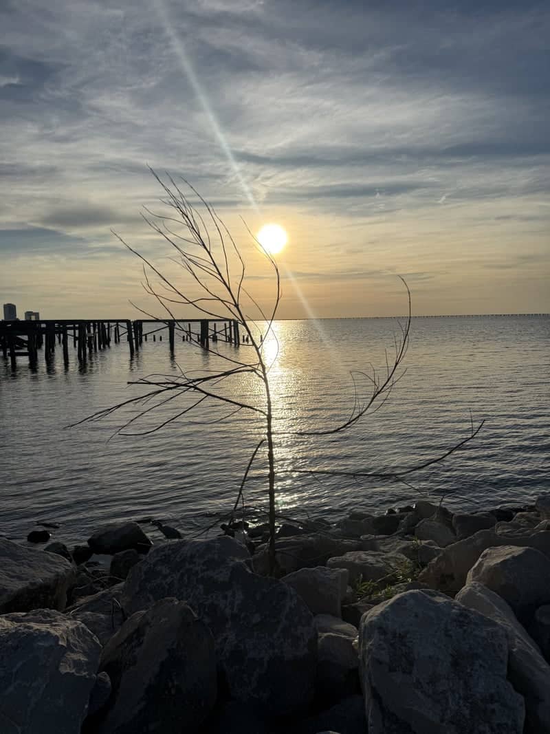 Lake Pontchartrain West End - Image 1