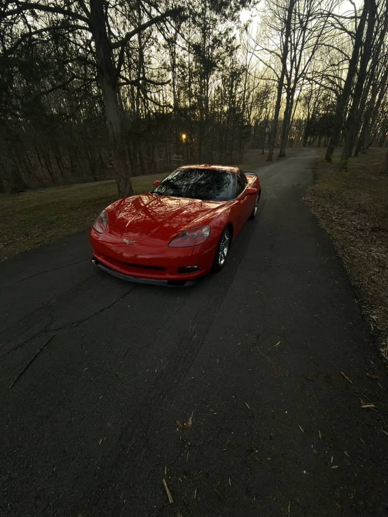 Wooded Rural Roadway - Image 1
