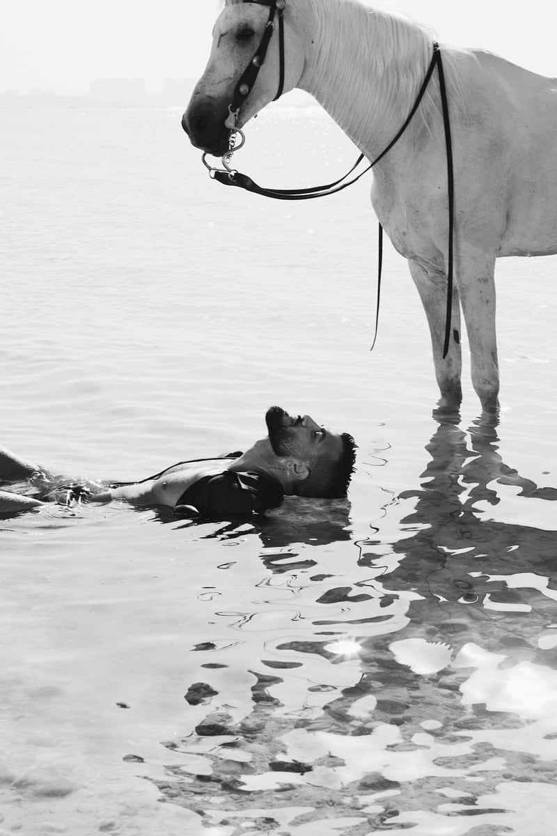 Bahrain Equestrian Beach - Image 1
