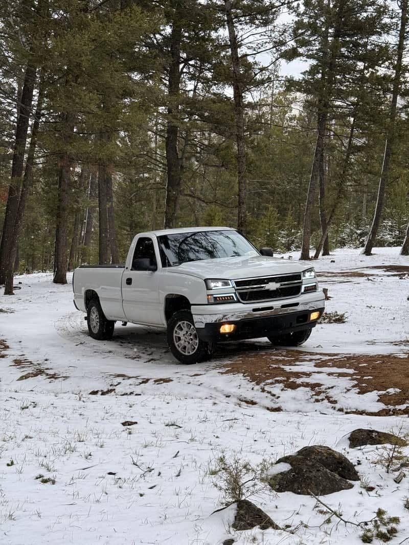 Highland Mountains Forest Trail - Image 1