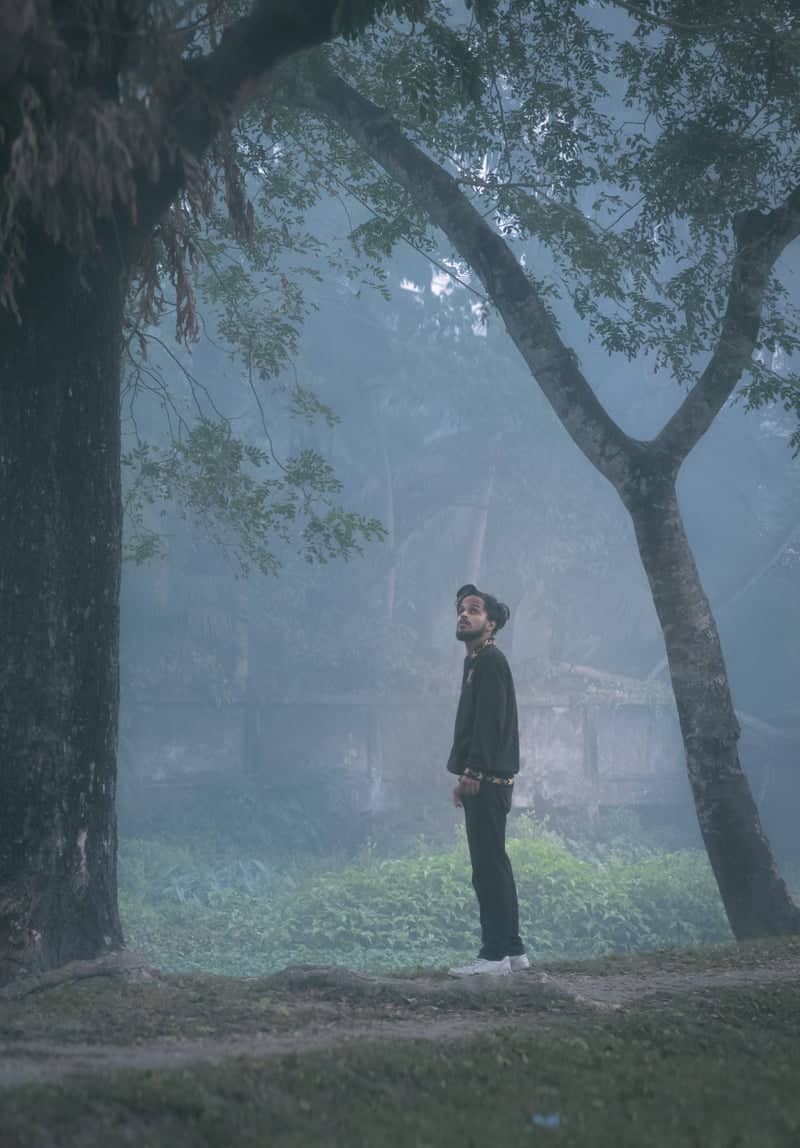 Misty Woods of Lakshmipur - Image 1