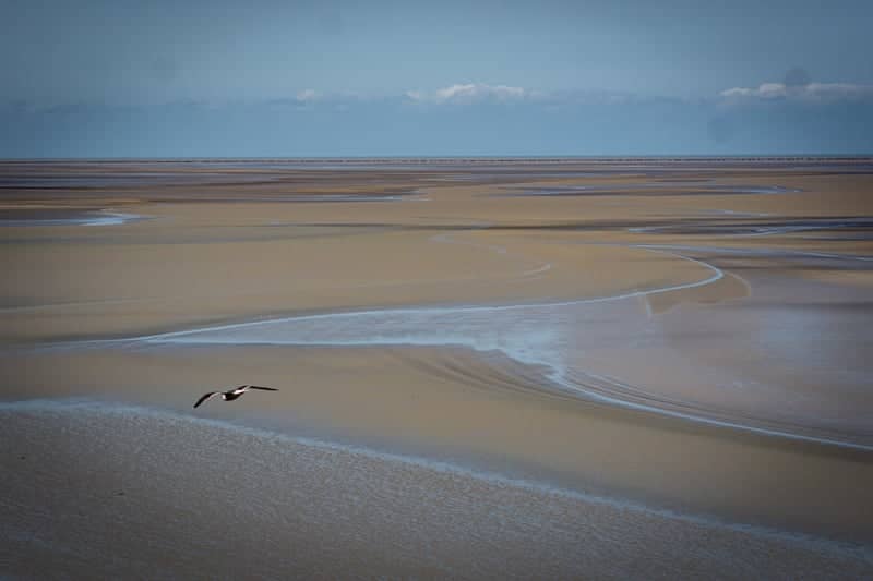 Mont-Saint-Michel Bay Tidal Flats - Image 1