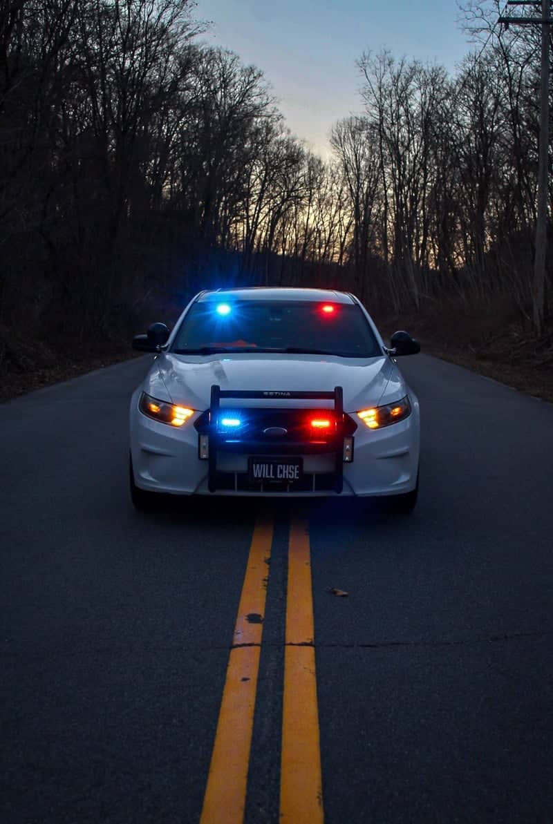 Shelton Wooded Roadway - Image 1