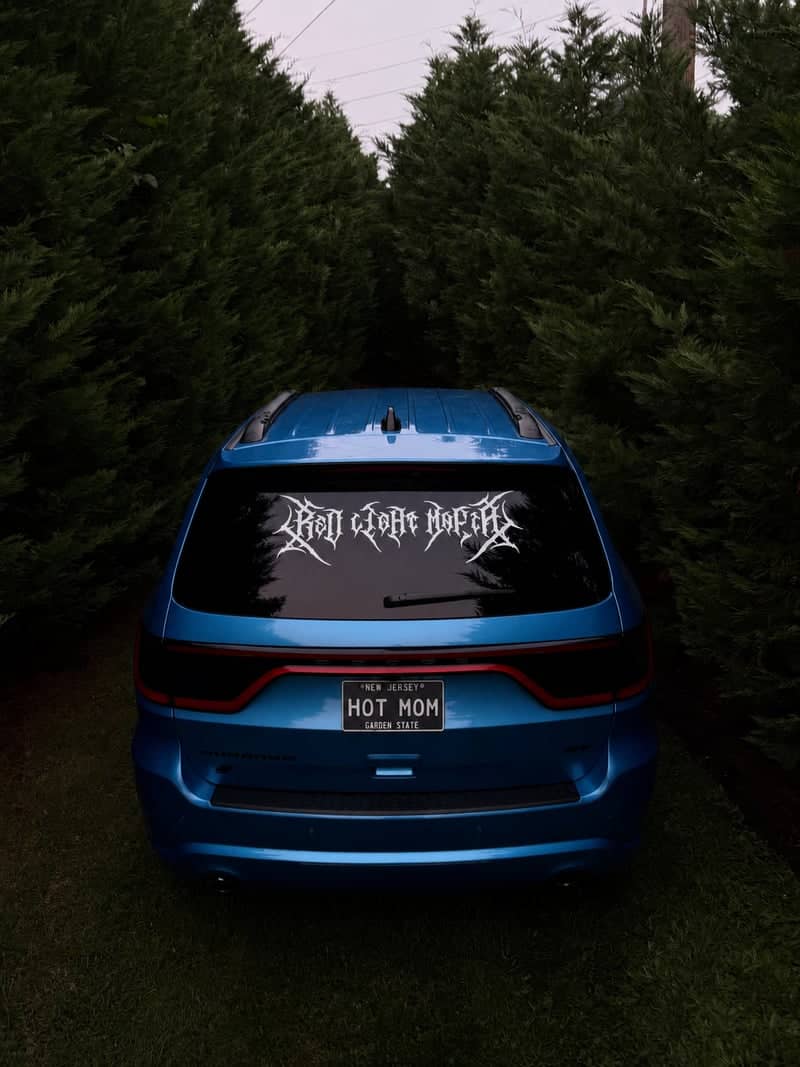 Berlin Evergreen Driveway - Image 1