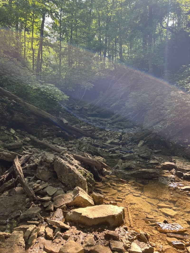 Clifty Falls State Park Canyon - Image 1
