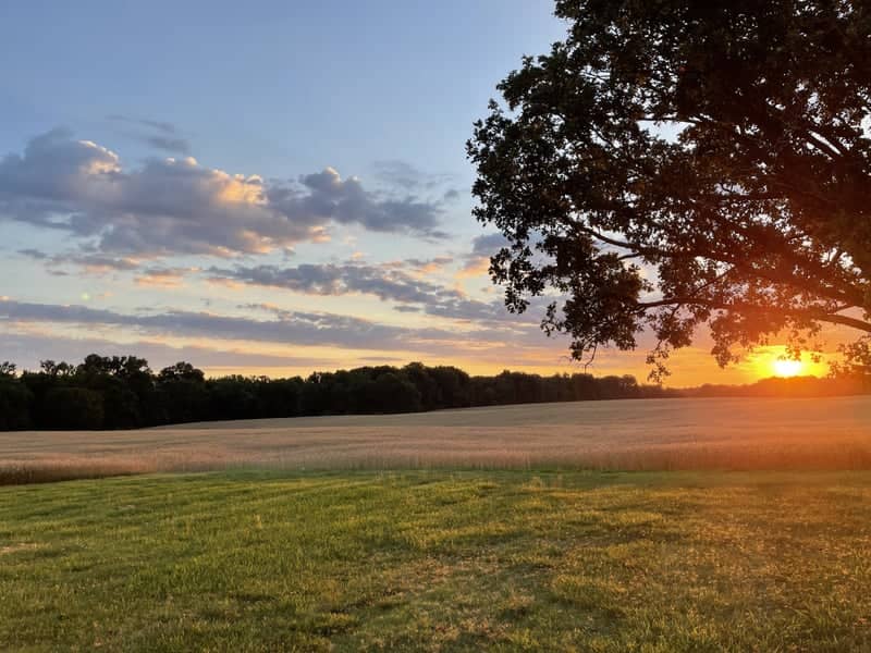 Rural Monroe Sunset Field - Image 1