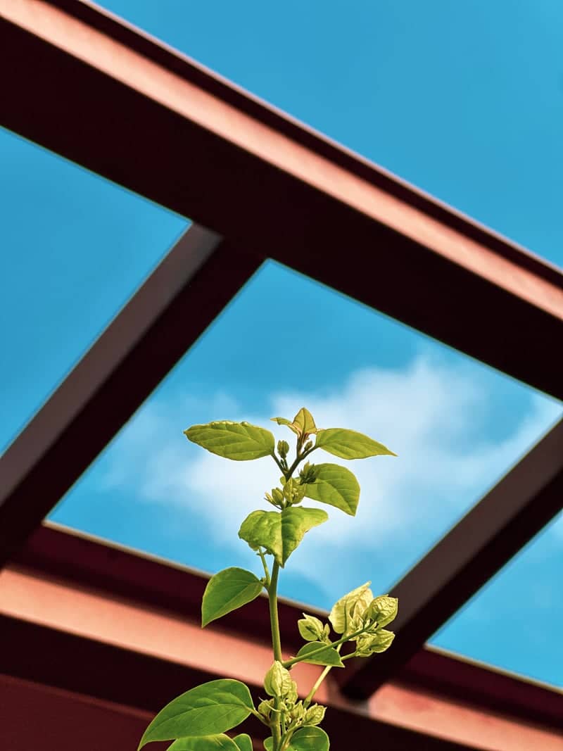 Vinhomes Smart City Garden - Image 1