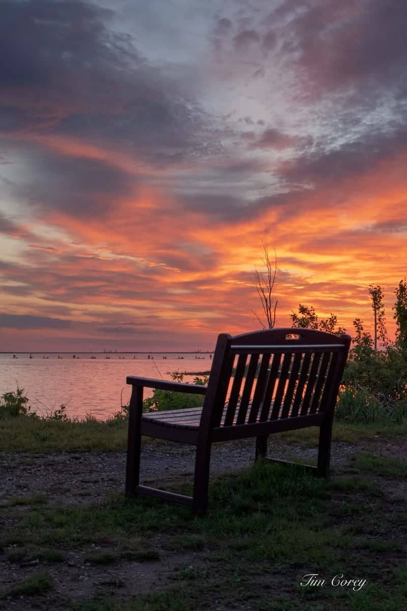 Ken Euers Nature Area - Image 1