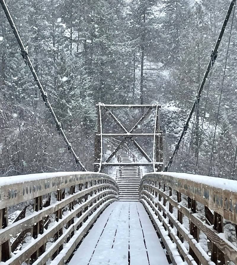 Bowl and Pitcher Suspension Bridge - Image 1