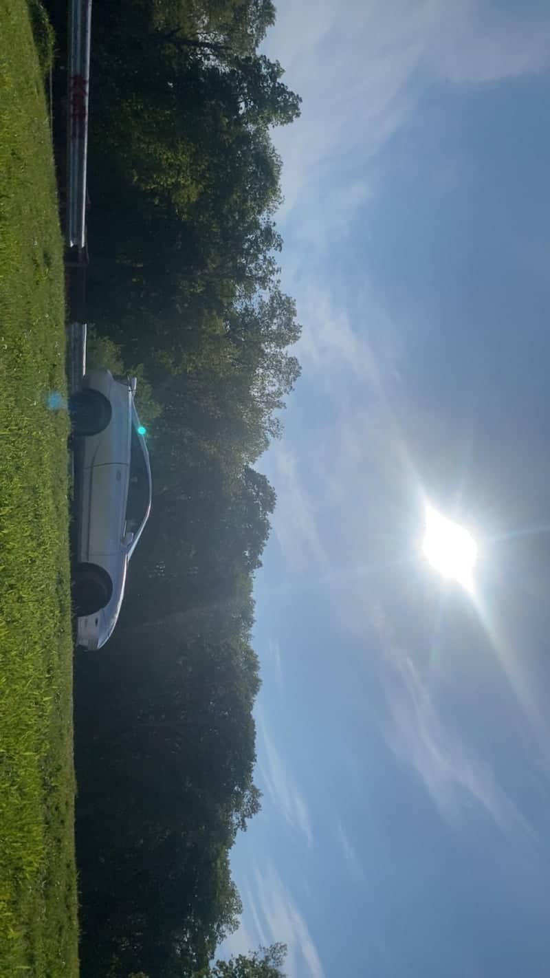 Rural Roadside near Mount Olive - Image 1