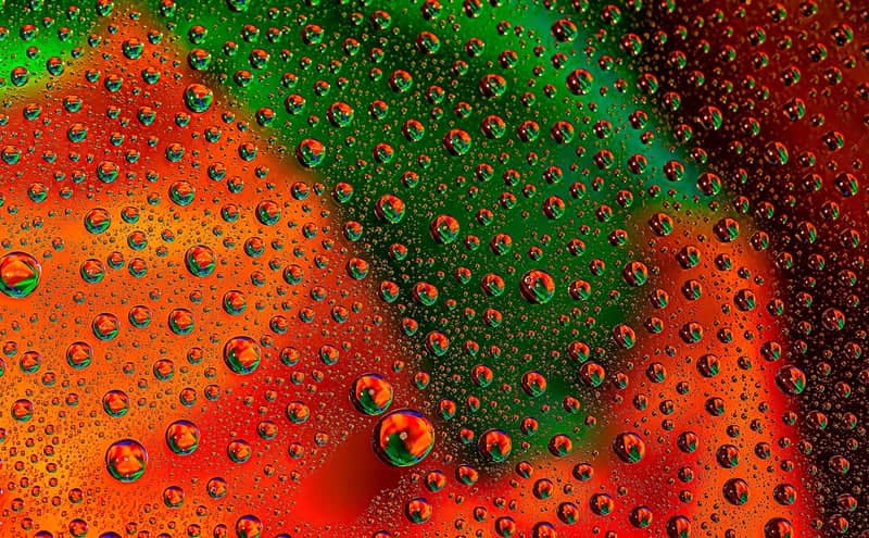 Macro Water Droplets Study - Image 1