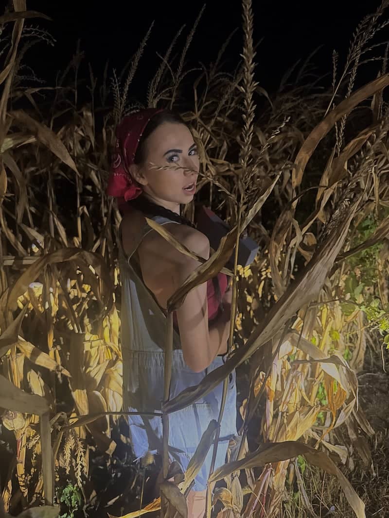 Bloomington Cornfield - Image 1