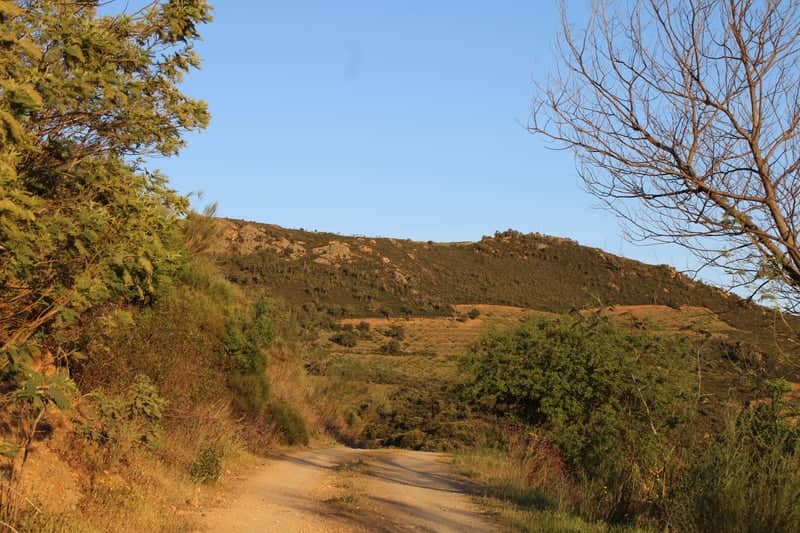 Urros Rural Landscape - Image 1