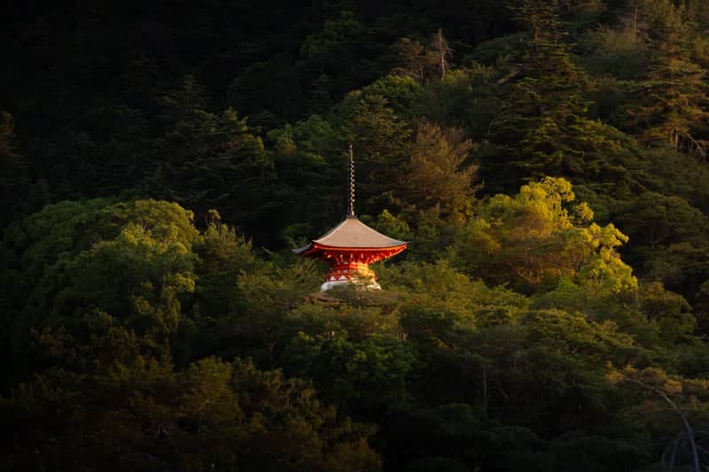 Tahoto Pagoda, Miyajima - Image 1