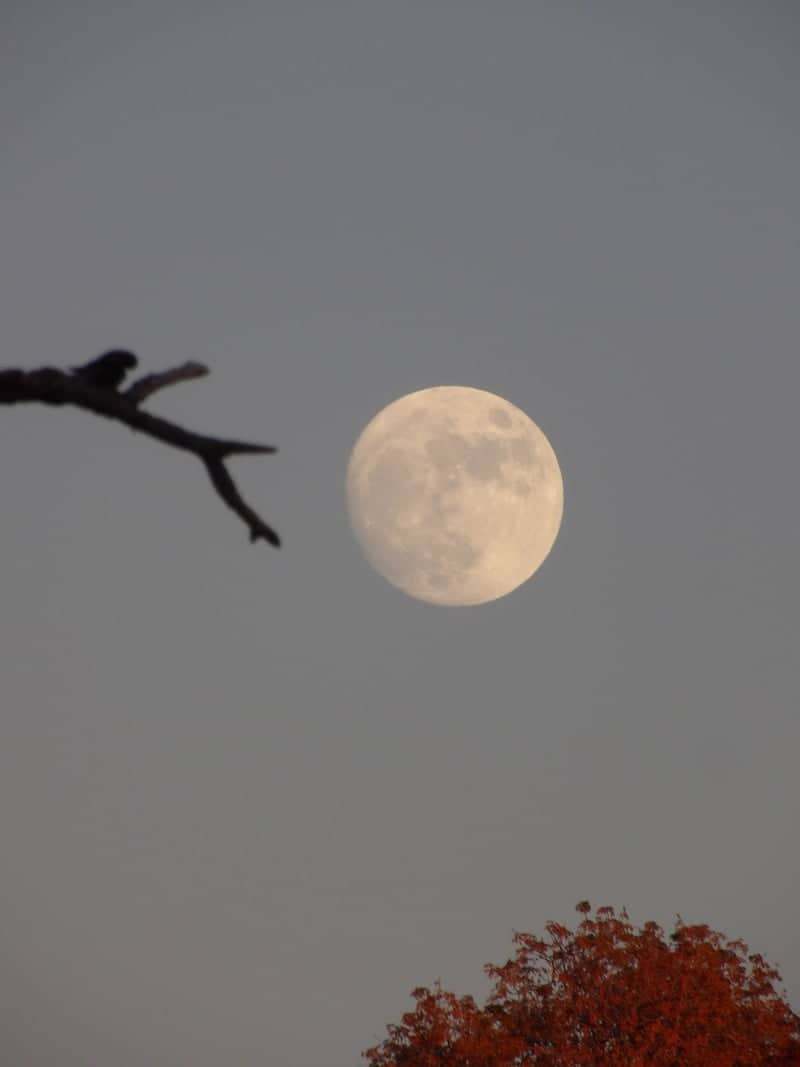 Lincoln Suburban Moonrise - Image 1