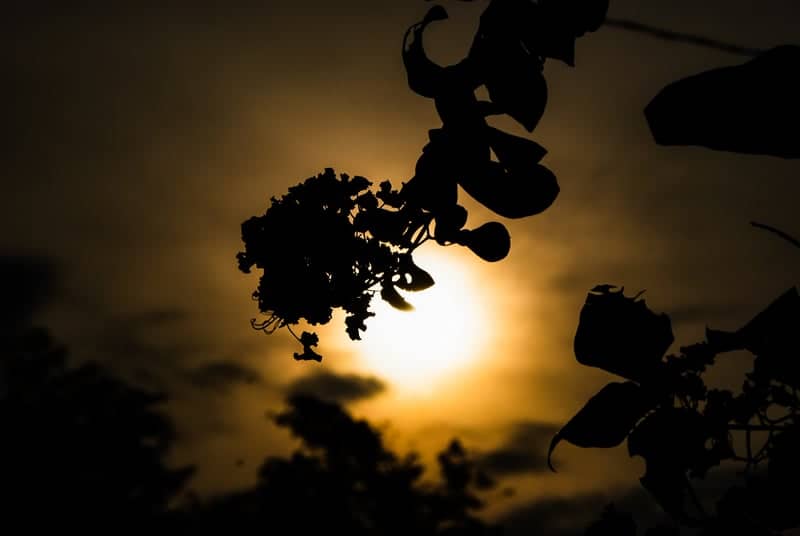 Villasis Rural Sunset - Image 1