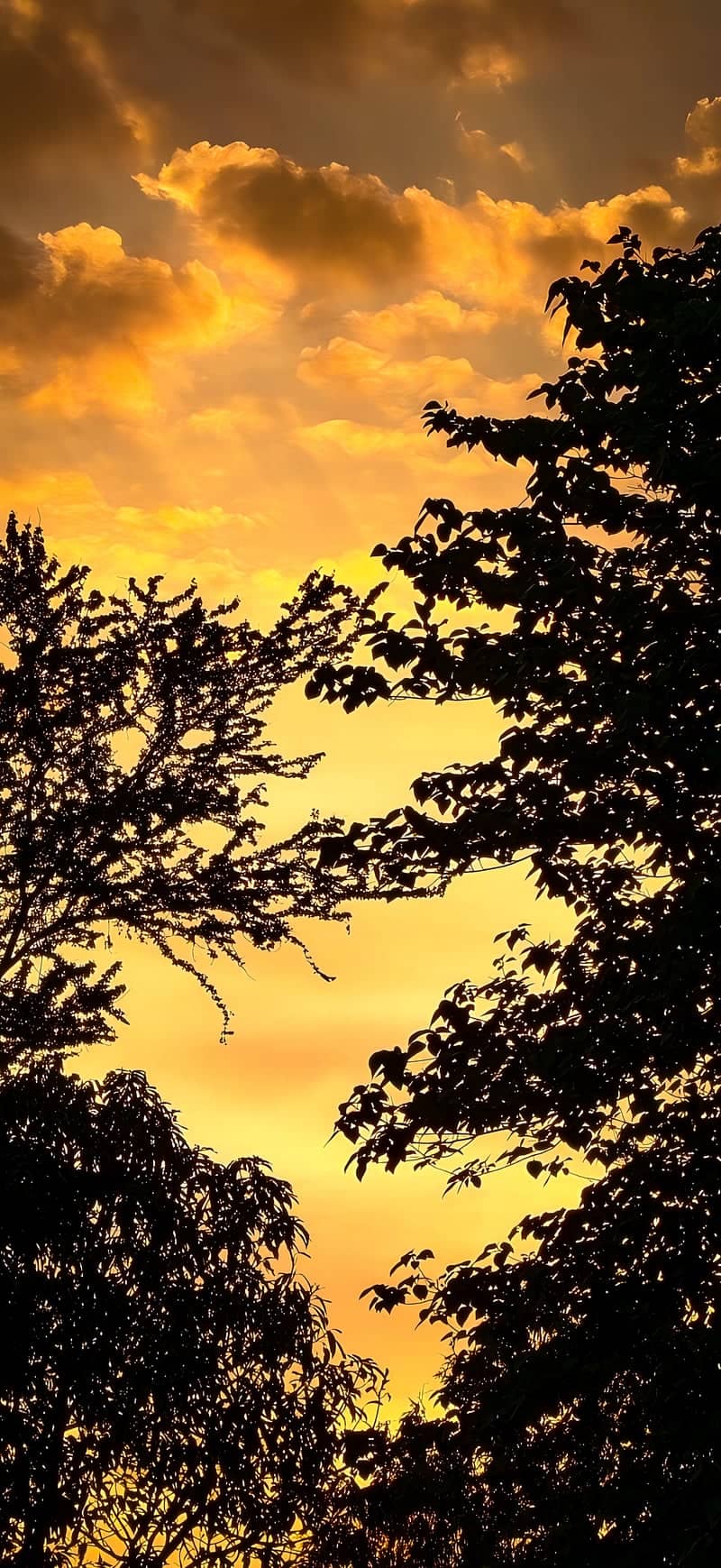 Villasis Sunset Overlook - Image 1