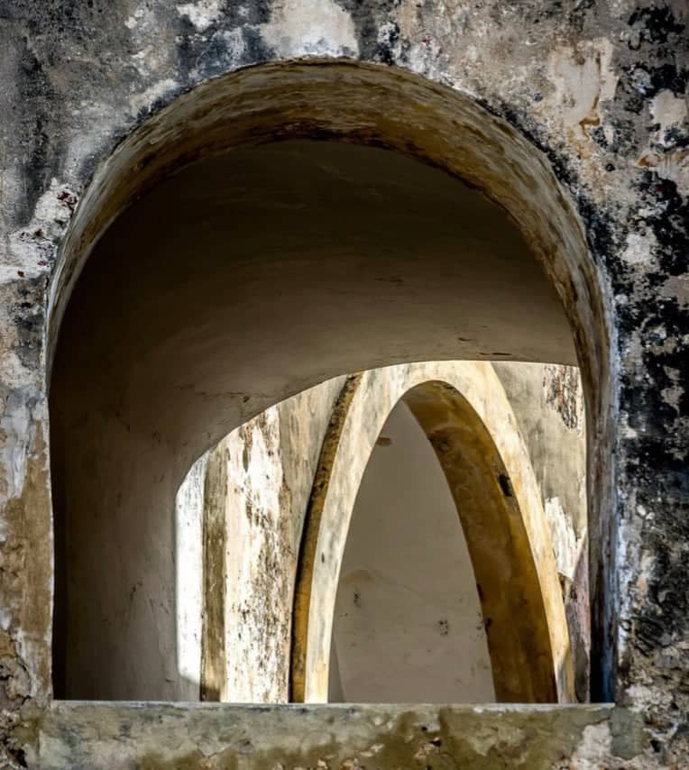 Golden Ocala Architectural Arches - Image 1
