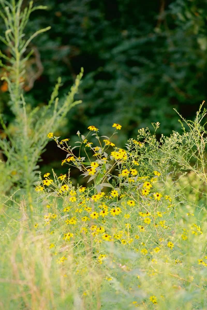 Prairie Center Nature Preserve - Image 1