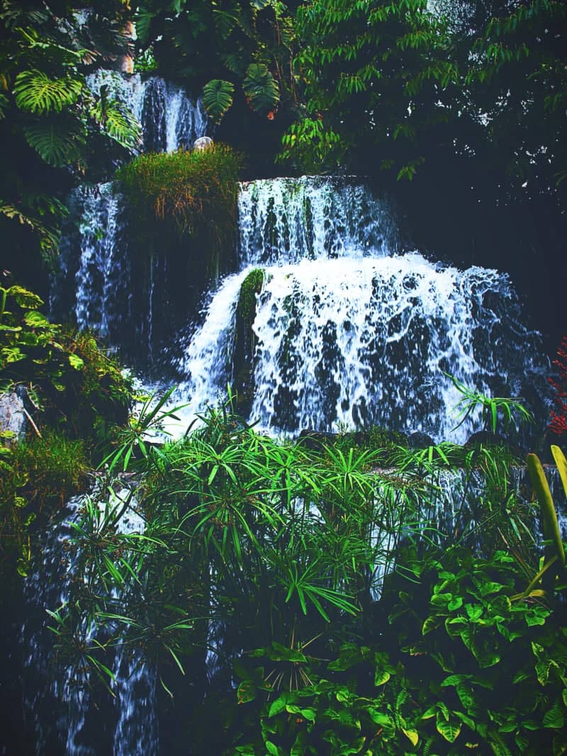 Taraccasa Ecological Park Waterfall - Image 1