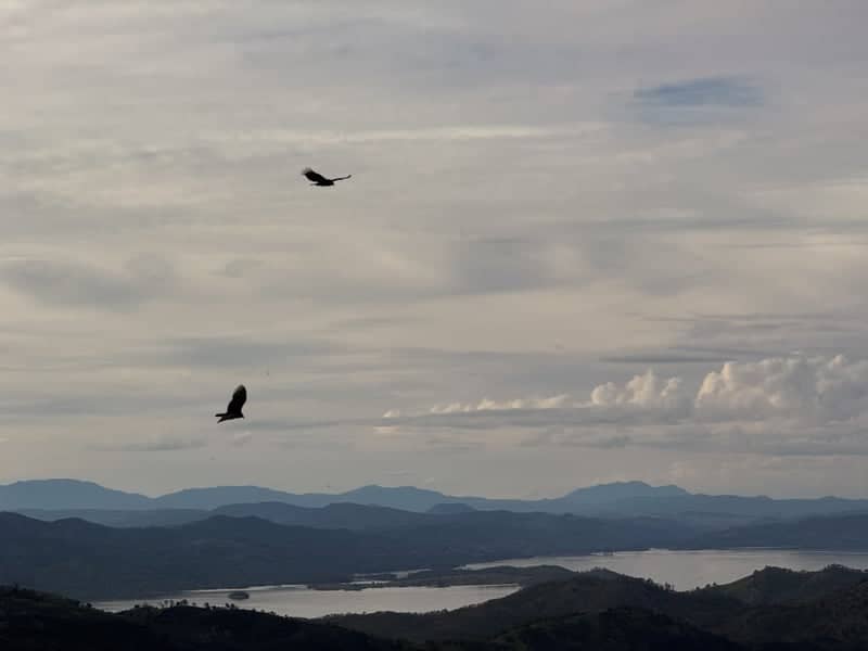 Blue Ridge Trail Overlook - Image 1